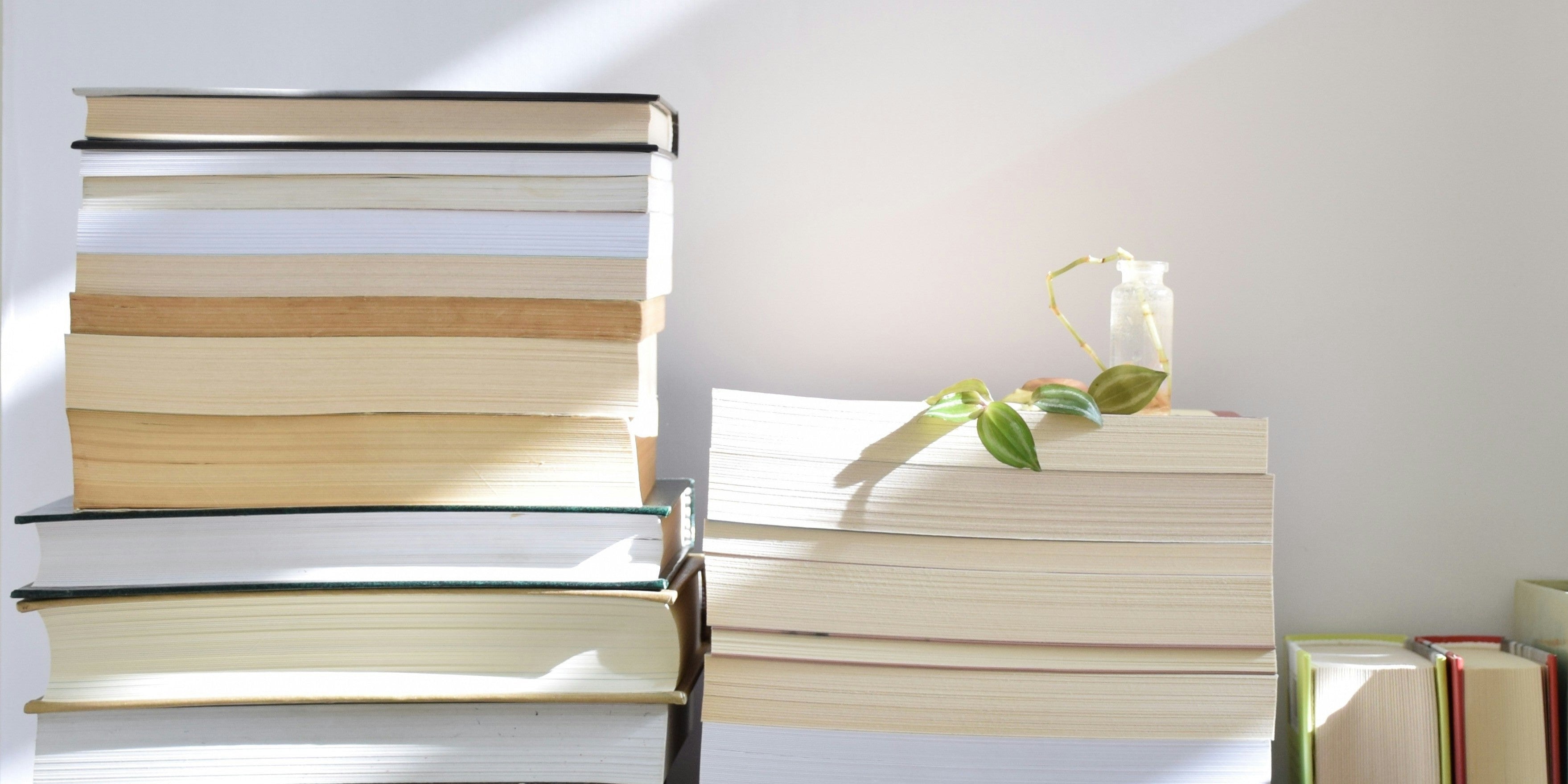 Mondes merveilleux : découvrez la première collection de Fantasy Bulle !